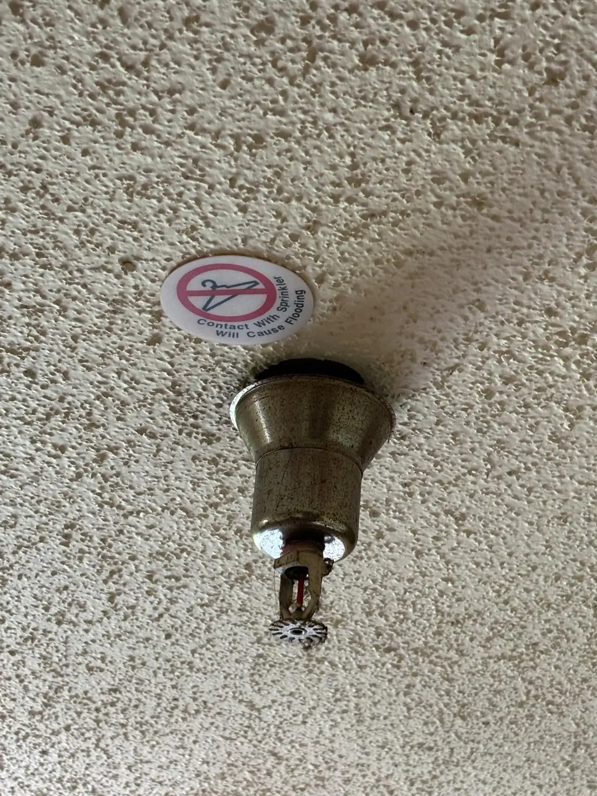 Pendent fire sprinkler head on a textured ceiling with a warning sticker