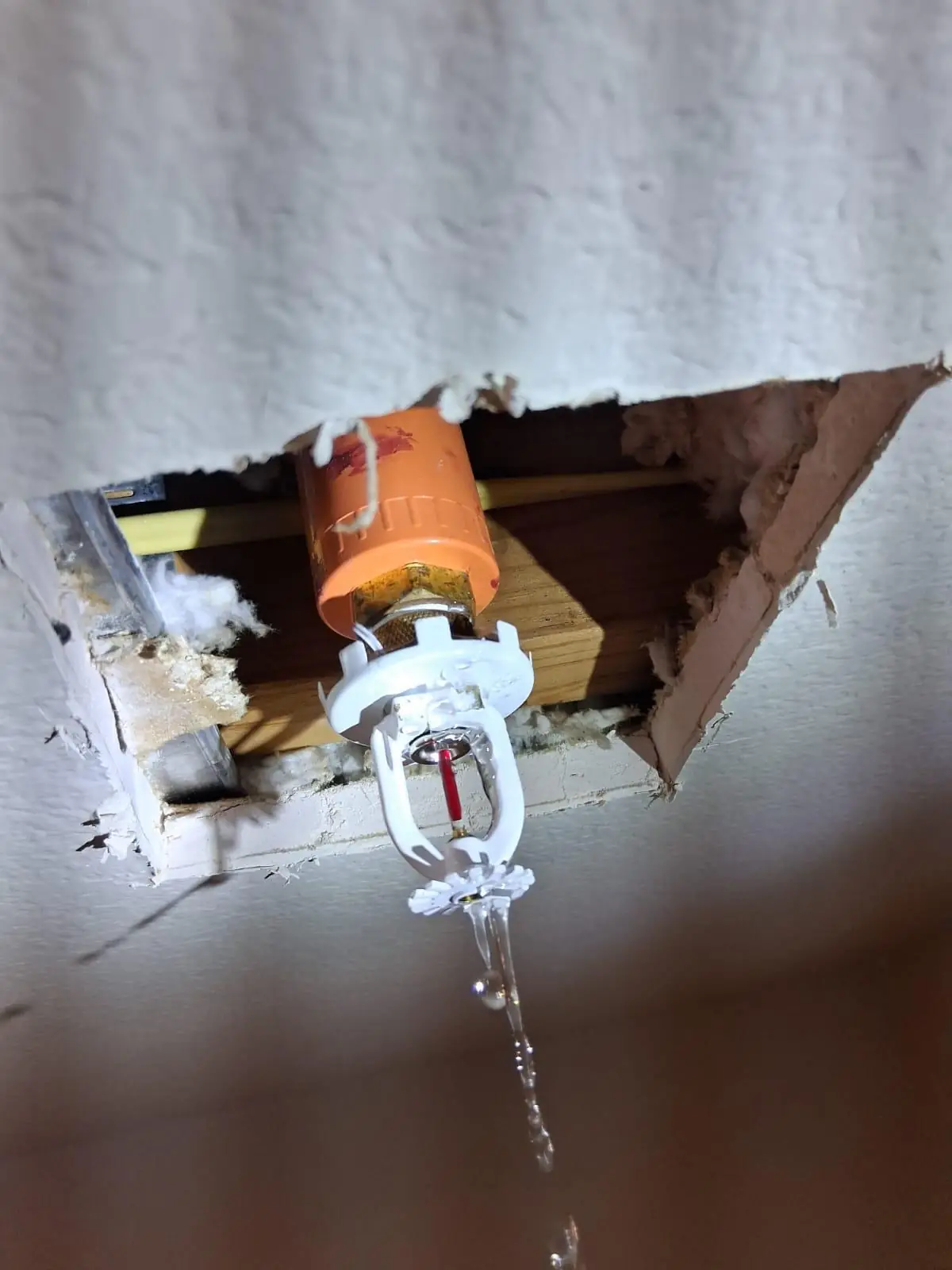 Leaking fire sprinkler head in an opened ceiling